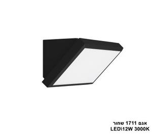 ***אגם LED 12W 1711 שחור אור חם (21988)