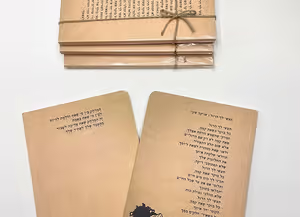 מחברת השראה תעשי לך הרגל שניקה שקד