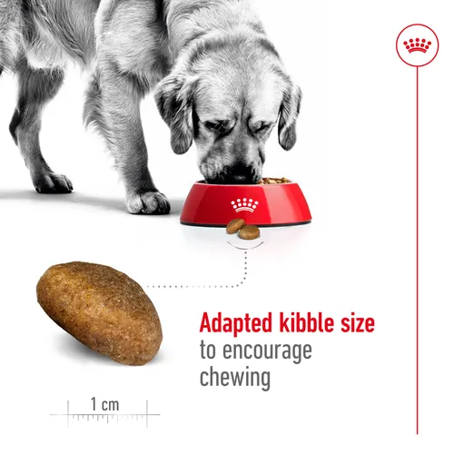 שקית מזון יבש לכלב בוגר מגזע גדול Royal Canin Maxi Adult 3182551065404 - אריזת 15 ק