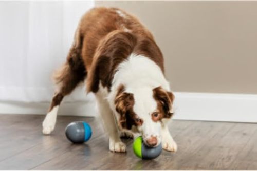PetSafe Ricochet Electronic Dog Toys