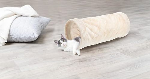 Trixie Playing Tunnel 22*60cm