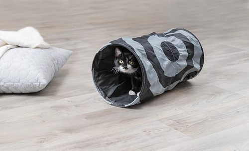 Trixie Paying Tunnel 25*50
