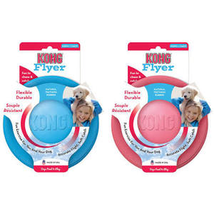 Kong Flyer Puppy Small