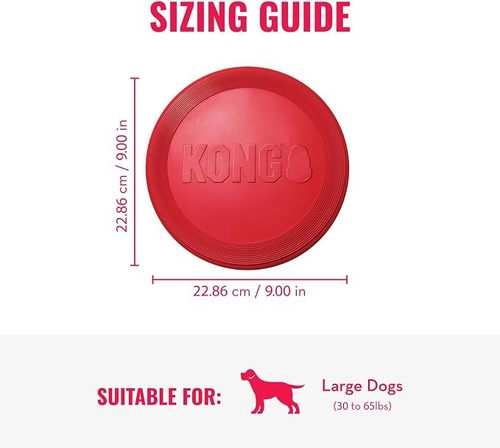 Kong Flyer Large