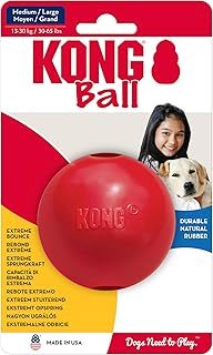 Kong Ball Medium