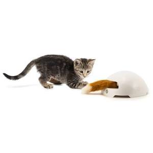 PetSafe Fox Den Toy