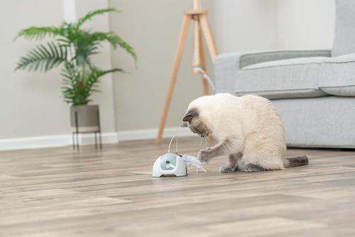 Trixie  - toy with motor & remote control