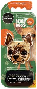 REAL DOGS | Chihuahua