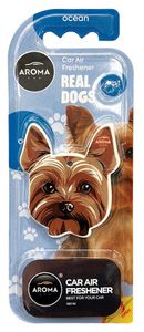 REAL DOGS | Yorkie