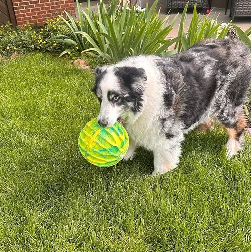 Kong FlexBall Sport XL