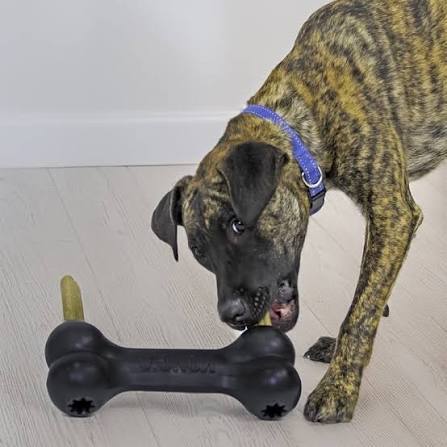 Kong Goodie Bone Large