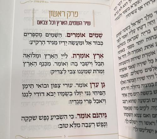 פרק שירה דגם נוף