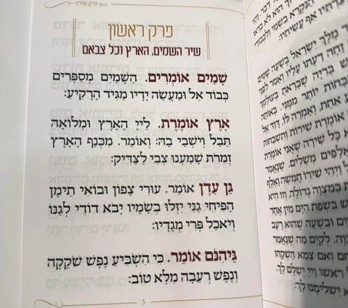 פרק שירה דגם יונים