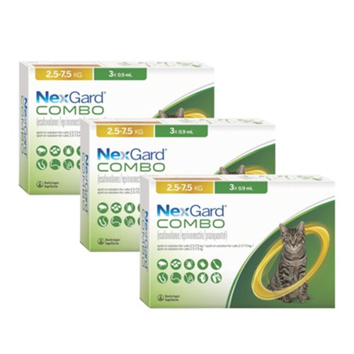 NexGard קומבו אמפולה - טיפול בפרעושים וקרציות לחתולים
