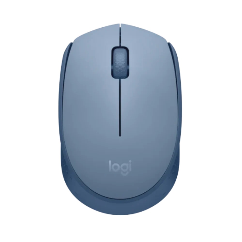 עכבר אלחוטי כחול/אפור Logitech M171 Retail