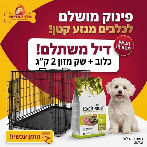 מארז מבצע לכלב מגזע קטן: כלוב אילוף מתכת 61 ס