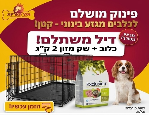 מארז מבצע לכלב מגזע קטן: כלוב אילוף מתכת 76 ס