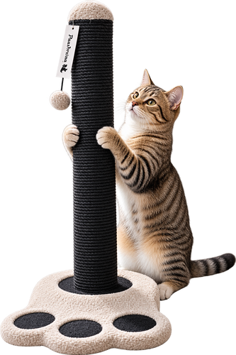 מתקן גירוד HIGH PAW מידה 40*30*60 