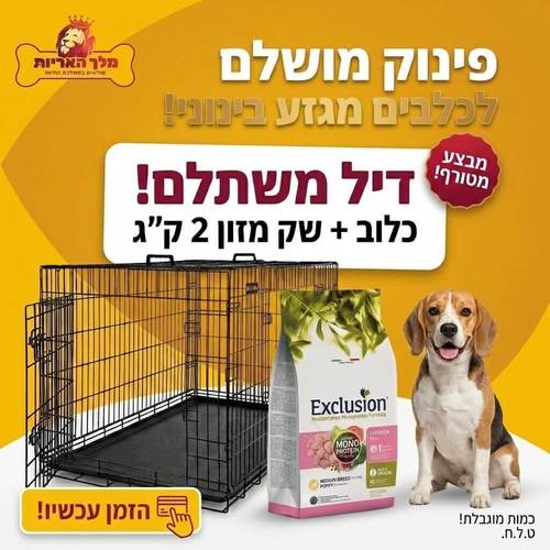 מארז מבצע לכלב מגזע בינוני: כלוב אילוף מתכת 91 ס