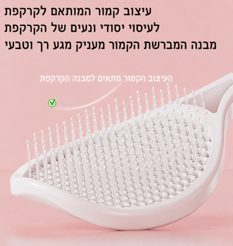Air Cushion Massage Comb – מברשת טניס להתרת קשרים ולעיצוב נפח
