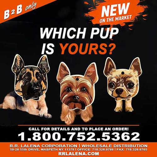 REAL DOGS | German Shepherd