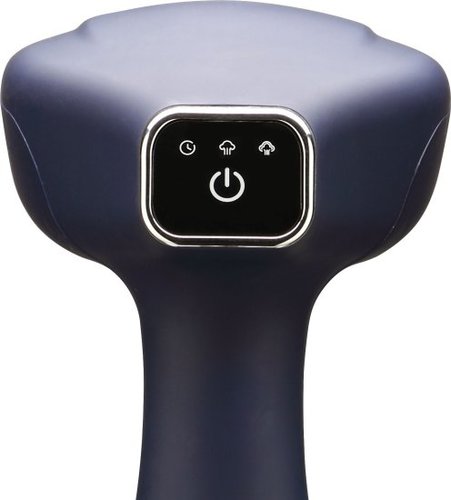מגהץ קיטור אנכי 300 מ''ל Aiwa QH09 1500W