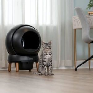 PetSafe Black