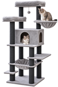 מתקן גירוד KINGDOM מידה 60*40*180 Pets Project