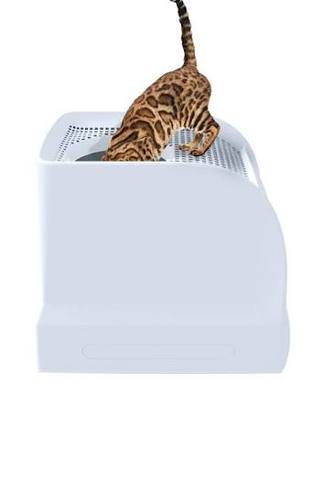 Imac Frida