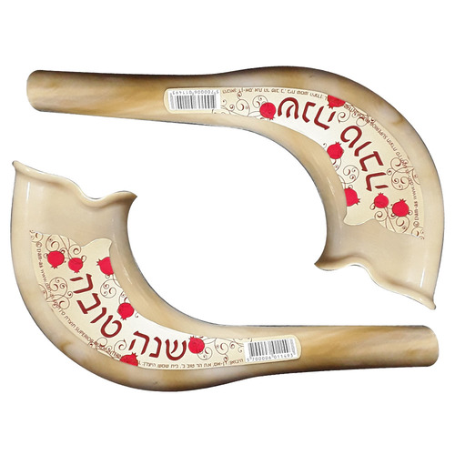 שופר בינוני פלסטיק במראה טבעי 18 ס