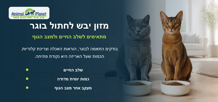 מזון יבש לחתולים בוגרים עם התאמה לשלב החיים ולצרכים התזונתיים של החתול