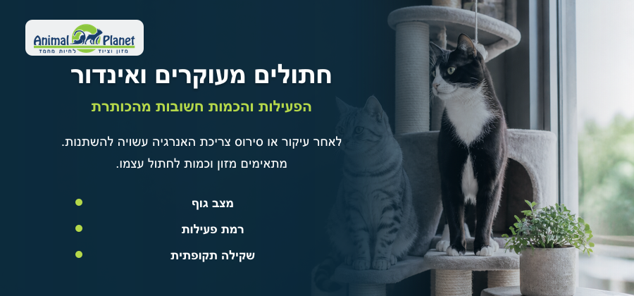 מזון לחתולים מעוקרים וחתולי בית עם התאמה לרמת פעילות ולשמירה על משקל תקין