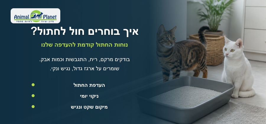 חול לחתולים וארגז חול נקי בבית עם חתולים, לבחירת חול מתאים לפי נוחות וניקיון