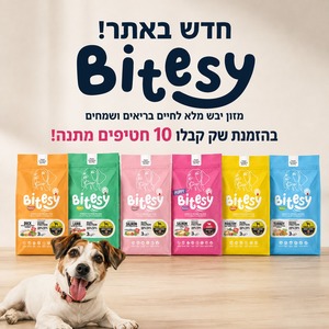 10 חטיפים מתנה בקניית שק ביטסי