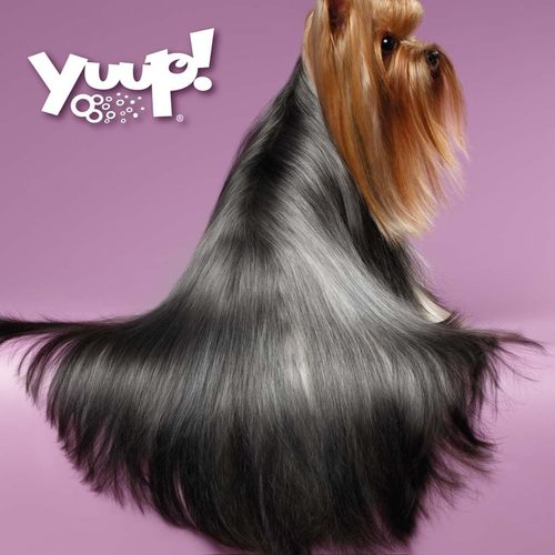 Yuup ! Detangling Condithioner 250ml