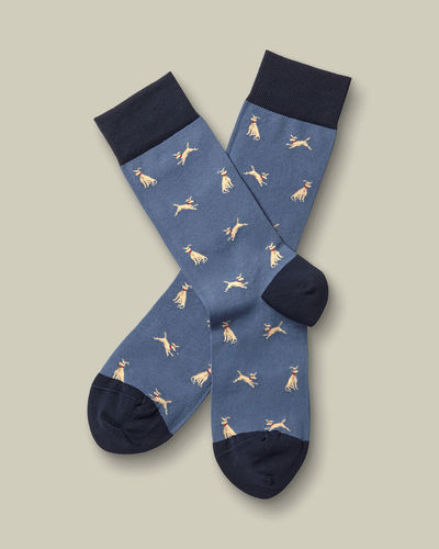 זוג גרביים  Steel blue dog novelty socks