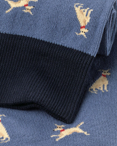זוג גרביים  Steel blue dog novelty socks