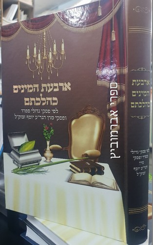 ארבעת המינים כהלכתם