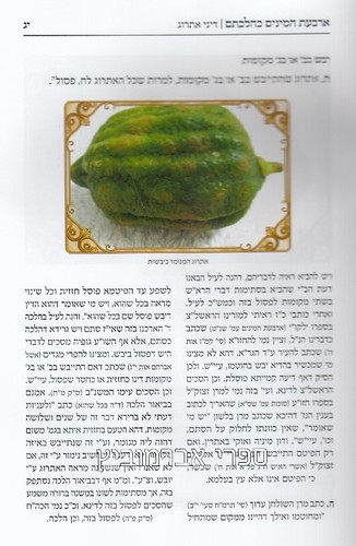 ארבעת המינים כהלכתם
