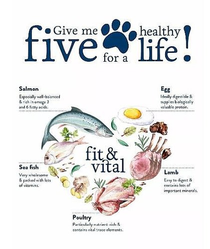 Happy Dog 4kg mini Adult