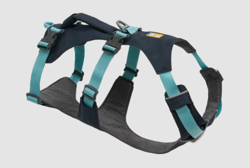 רתמת FLAGLINE DOG HARNESS ראפוואר לכלב צבע Basalt Gray