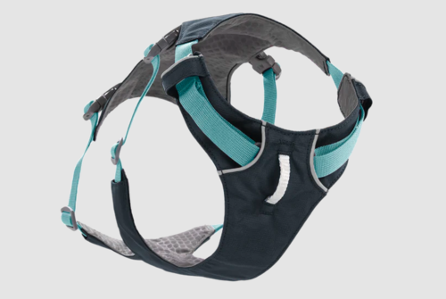 רתמת FLAGLINE DOG HARNESS ראפוואר לכלב צבע Basalt Gray