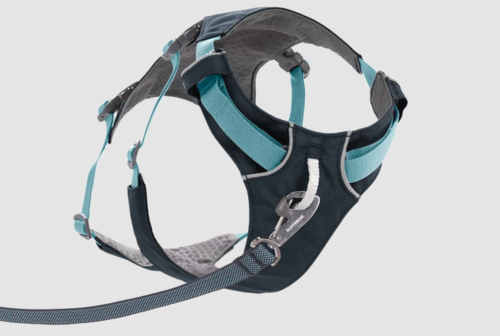 רתמת FLAGLINE DOG HARNESS ראפוואר לכלב צבע Basalt Gray