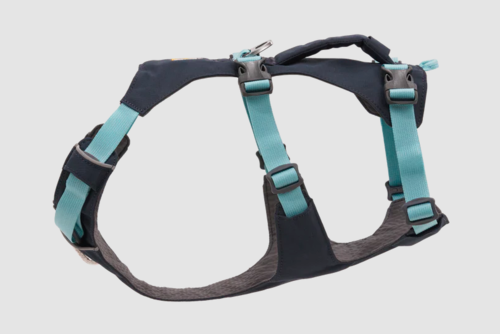 רתמת FLAGLINE DOG HARNESS ראפוואר לכלב צבע Basalt Gray