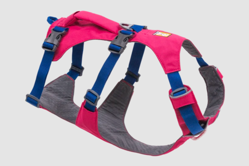 רתמת FLAGLINE DOG HARNESS ראפוואר לכלב צבע Alpenglow Pink