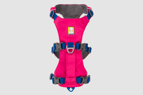 רתמת FLAGLINE DOG HARNESS ראפוואר לכלב צבע Alpenglow Pink