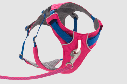 רתמת FLAGLINE DOG HARNESS ראפוואר לכלב צבע Alpenglow Pink