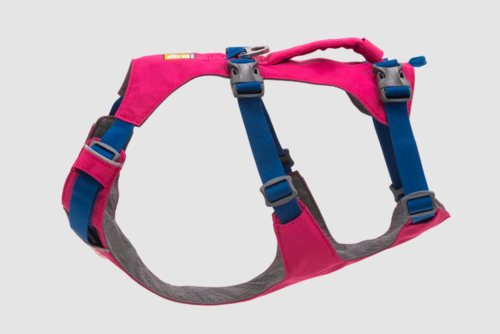 רתמת FLAGLINE DOG HARNESS ראפוואר לכלב צבע Alpenglow Pink