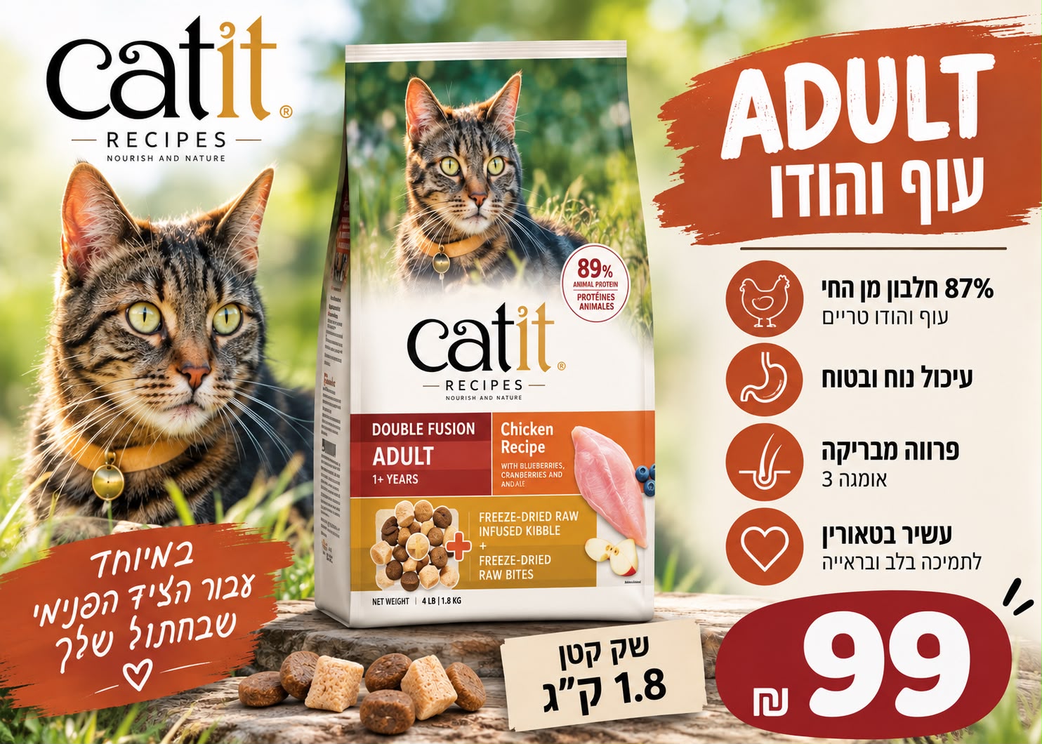 קט איט לחתול אדולט 1.8 ק"ג 