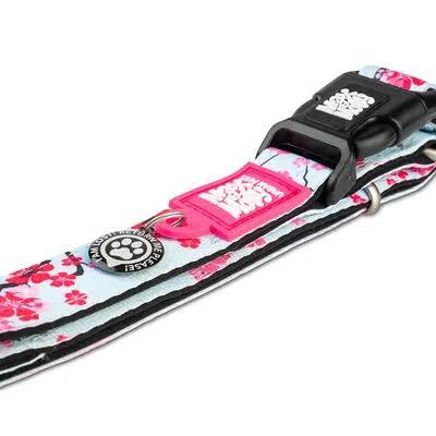 Max & Molly Smart ID Collar L